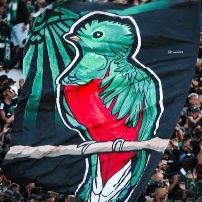 Anassd049's profile picture. DIMA RAJA .                                                  Free Palestine🇵🇸