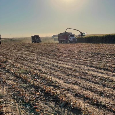 Farmer, John Deere Dealer Partner. Raise a few chickens and farm a few acres.🌽🌽🌿🌾🌻🐝🐛