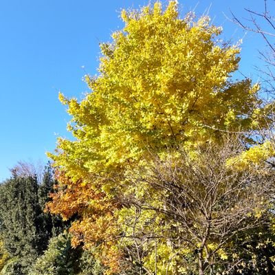 HiroE500's profile picture. 大した投稿はできません…⤵️
悪しからず😁