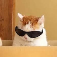 laurabae32's profile picture. Money et Money 💲💲💲