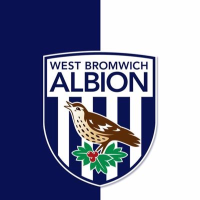 WBA for life , follow if your a West Brom fan 😀