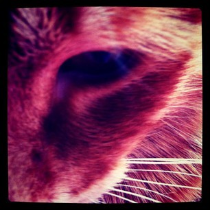 rcpro_official's profile picture. New RCPro's official Twitter page:)
We promise to follow EVERYONE back:)