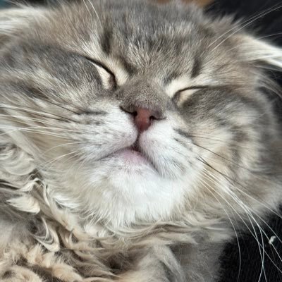 ichikou73's profile picture. 札幌在住のフリーランスです！ライター、ゲームプランナー、講師、映像制作などで活動しています