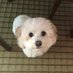 Delfina Becker (@beckerdelf88496) Twitter profile photo Delfina Becker (@beckerdelf88496) Twitter profile photo