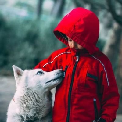 Cleansheet001's profile picture. I am cleansheet