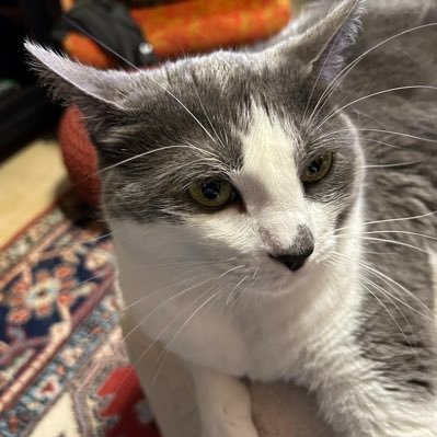 simple1982joy's profile picture. Democratic party.....Freedom and Justice for ALL.......Love your neighbor as yourself......Attitude of Gratitude