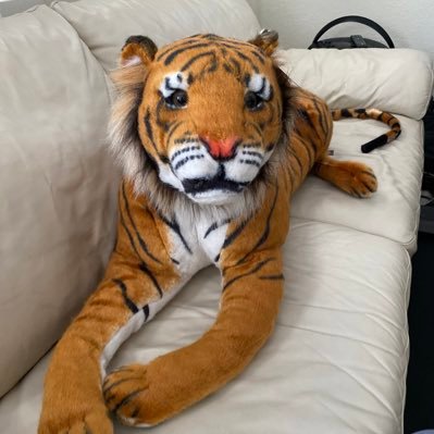 RicknSugarLand's profile picture. Husband, father, UH alumni, Houston/Sugar Land/Astros/Rockets/Texans/Coogs