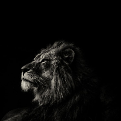 Htike98974Aung's profile picture. Struggle