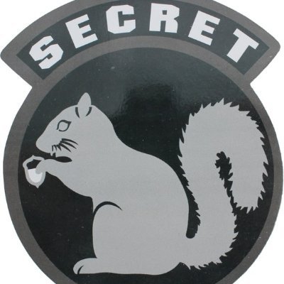 Secret_SQRL0016 Profile Picture