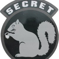 Secret_SQRL0016(@Secret_SQRL0016) 's Twitter Profile Photo