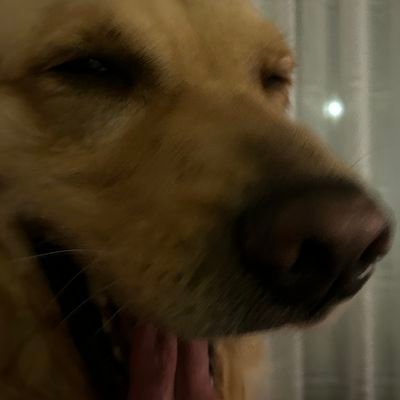 Deegemさんのプロフィール画像