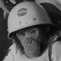 Space Monkey (@spacemonkey012) 's Twitter Profile