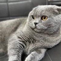 Topraktepe .inkI 🍊,💊HUDL |CryplexAI|nexyai.io (@etopraktepe) 's Twitter Profile Photo