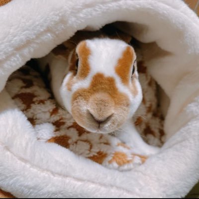 ranrancumslut's profile picture. 18+ owner 💐