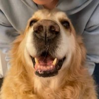 Jane Finlayson-Fife (@jaelfifi) 's Twitter Profile