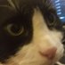 Newell Beier (@beiernewel14510) Twitter profile photo Newell Beier (@beiernewel14510) Twitter profile photo