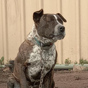 Jared Sheppard - @jbgslayer - Twitter