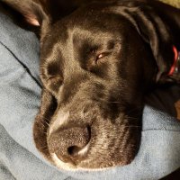 AnnE. (@aemannep) 's Twitter Profile