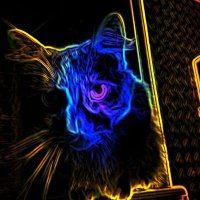 Chauncey D'Amore (@amorechaun26302) Twitter profile photo