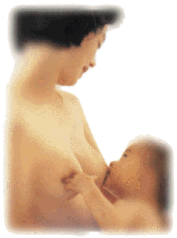 助産師暦50年(母乳育児指導33年)の71歳助産師です。、おっぱい110番を開業して30年が過ぎました。
今まで2万人以上のママ達を痛くないマッサージで母乳育児を成功させる指導をしてきています。
育児がとても楽しいとママ達に喜んでいただいていますし、次々に赤ちゃんが欲しくなり、3人から7人の子持ちのママ達が沢山います♪