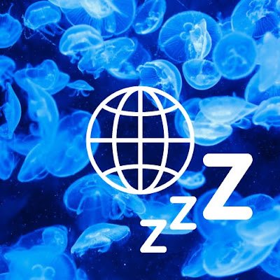 インターネットの海をさまよう海月
Internet wandering jellyfish