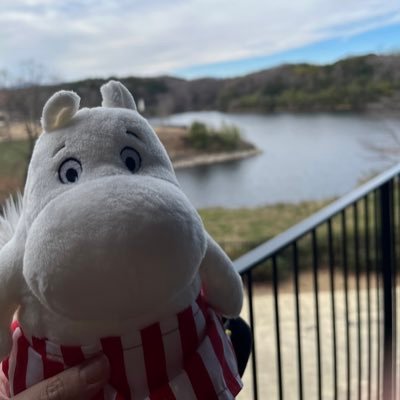 mumumum81786209's profile picture. 美味しい飲みもの、甘いもの、旅行が好き。