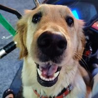 Vivian Jacobson (@jacobsonvi19220) 's Twitter Profile
