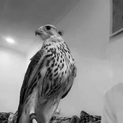 gaid12023's profile picture. 