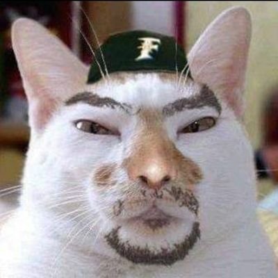 nkumajiro's profile picture. 元 オペ室や脳外の救急、急性期病棟
および介護や福祉などの医療従事者(過去形)

仕事とは別に、不登校問題、いじめ、学校教育問題と向き合い20年
家族は親子三代メディアの中の人

🍀笑いヨガインストラクター🍀
🌾現在は医食同源  『農業女子』🌾
🎮️ゲーム好き🎮
🚙💨🇯🇵🐾まさる部🇯🇵🚙💨