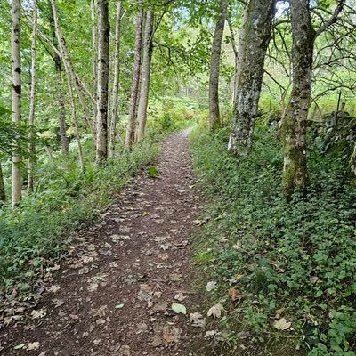 jenleejackson's profile picture. 