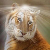 Jeremy Wuckert (@jeremywuck31880) Twitter profile photo