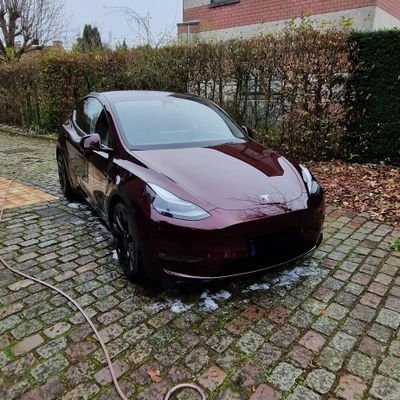 Spikedemon666's profile picture. 