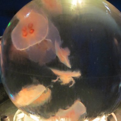 NWolfgangA's profile picture. The best revenge is a life well lived