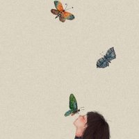 ✨ (@for_al16) 's Twitter Profile