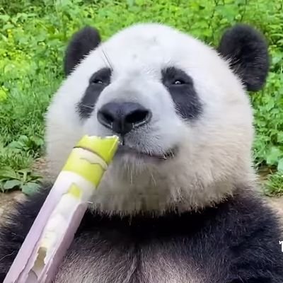 รีแบบไม่หยุดยั้ง🔞さんのプロフィール画像