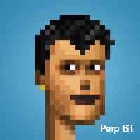 Perp Bit (@pperpbit) 's Twitter Profile