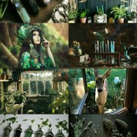 🏴☠️🔮Lily Magick🕯🏴☠️ (@lilymagick2022) 's Twitter Profile
