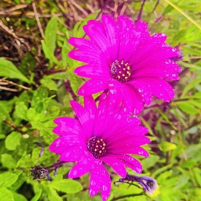 newid6468199372's profile picture. 🙏🙏🙏இங்கு யாரையும் எளிதில் நம்பாதே 🙏🙏🙏