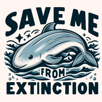 I am a Vaquita Activist. With only 10 Vaquita porpoise left  we owe it to them to sound the alarm and act. Extinction is Forever. These opinions are my own :)