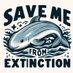 Vaquita911 (@meganrisingseas) Twitter profile photo Vaquita911 (@meganrisingseas) Twitter profile photo