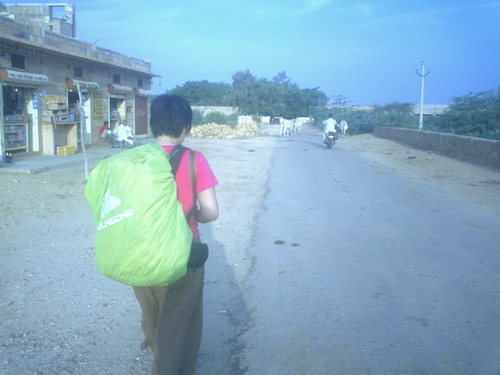 bomifly's profile picture. 만물은 변하는 법