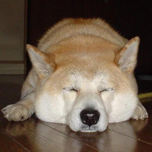 柴