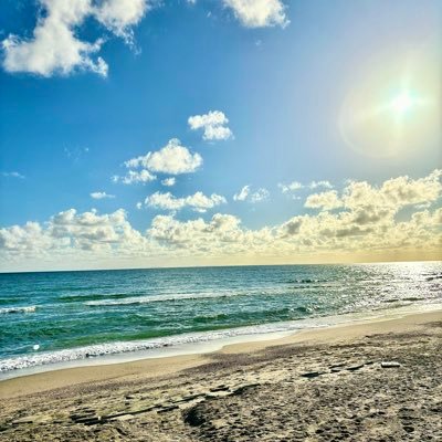 ClaudioVolpe_wr's profile picture. 