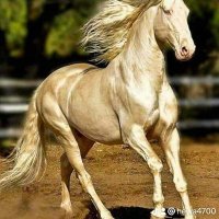 متفائل (@harwnasmayl2) Twitter profile photo