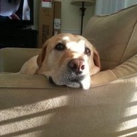 Scott Simanski (@scottsimanski) 's Twitter Profile