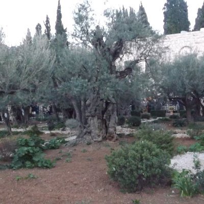 LucieAlgoritha's profile picture. ?