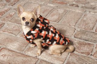 NaNi_Design's profile picture. NaNi is a Scandinavian company designing and making clothing for small dogs. http://t.co/MzkJBSSPX9 / http://t.co/QU1zm491bz