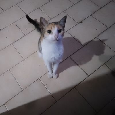 Eclipsep_Chan's profile picture. | ENG/ESP | digital artist | Freelance Illustrator | 20yr+
| Autor Freelance | NO IA | i draw anything.
⛈ SFW & NFSW ⛈
Please don't respost.