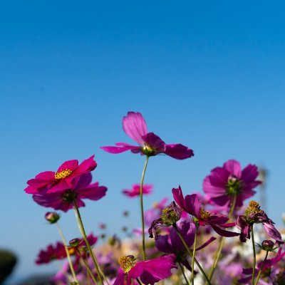 hKkfVVkp3592111's profile picture. 