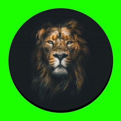 DM’s OPEN | A Lion in the crypto enclosure. #Hexican $HEX $PLS $PLSX #PulseX #5555 $TITANX What’s the next 1000x project? Let’s get rich together🤑